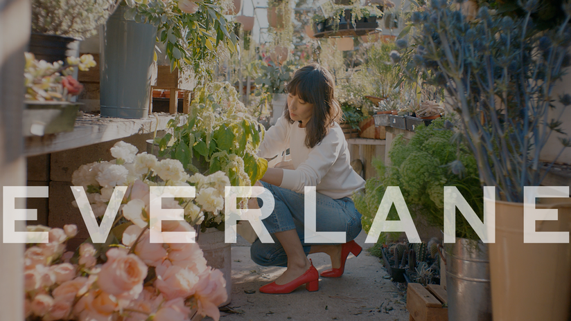 Everlane